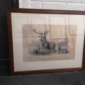 Deer and dog framed photo