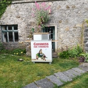 Twin Kegerator Mobile Bar Rental