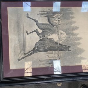 Framed Horse photo