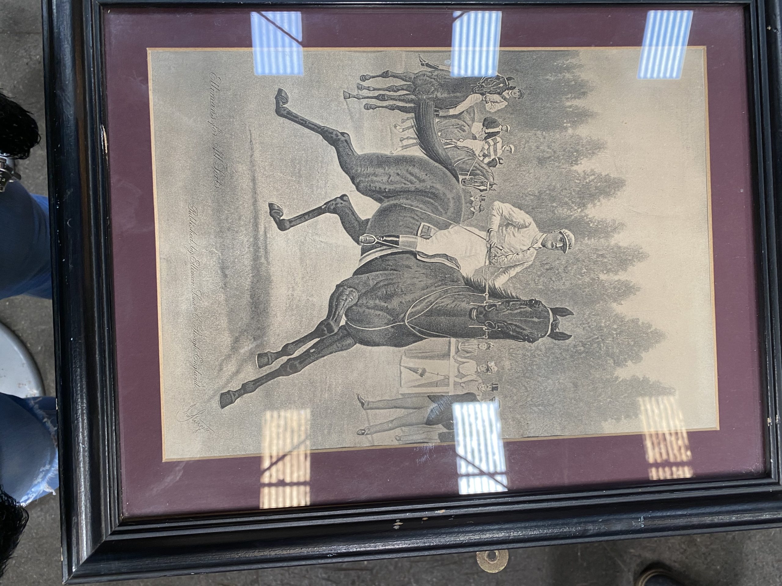 Framed Horse photo - Used Pub and Hotel Equipment