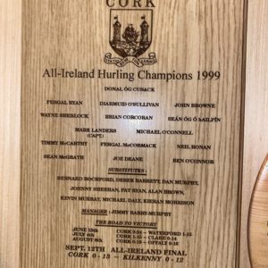 All Ireland hurling championship 1999