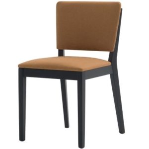 Posh Side Chair
