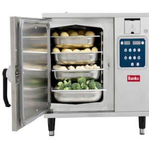 HS37 Professional Steamer